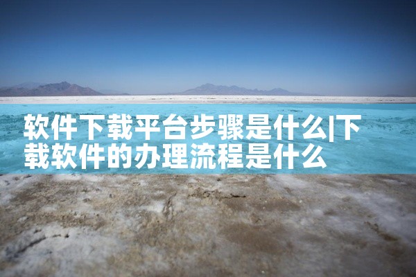 软件下载平台步骤是什么