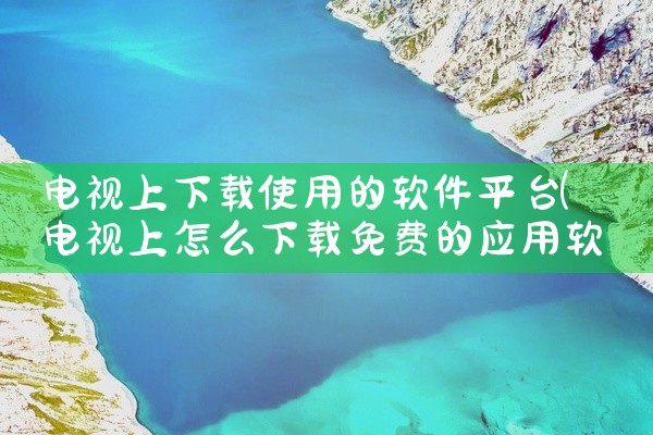 电视上下载使用的软件平台